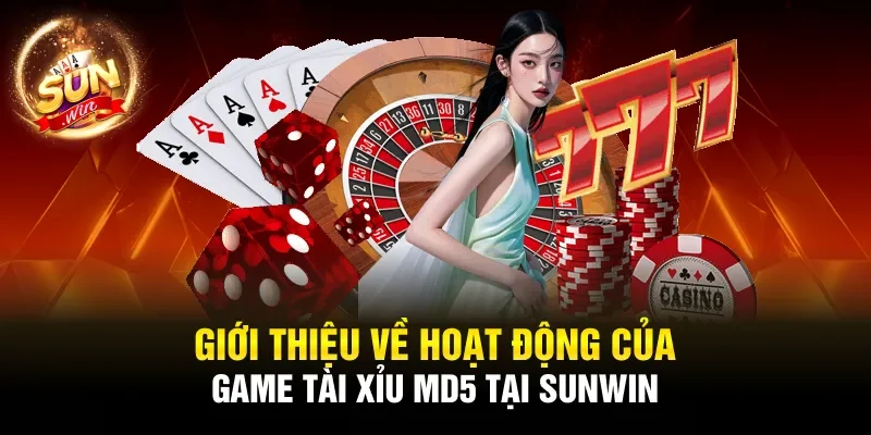 Giới thiệu về hoạt động của game tài xỉu md5 tại Sunwin